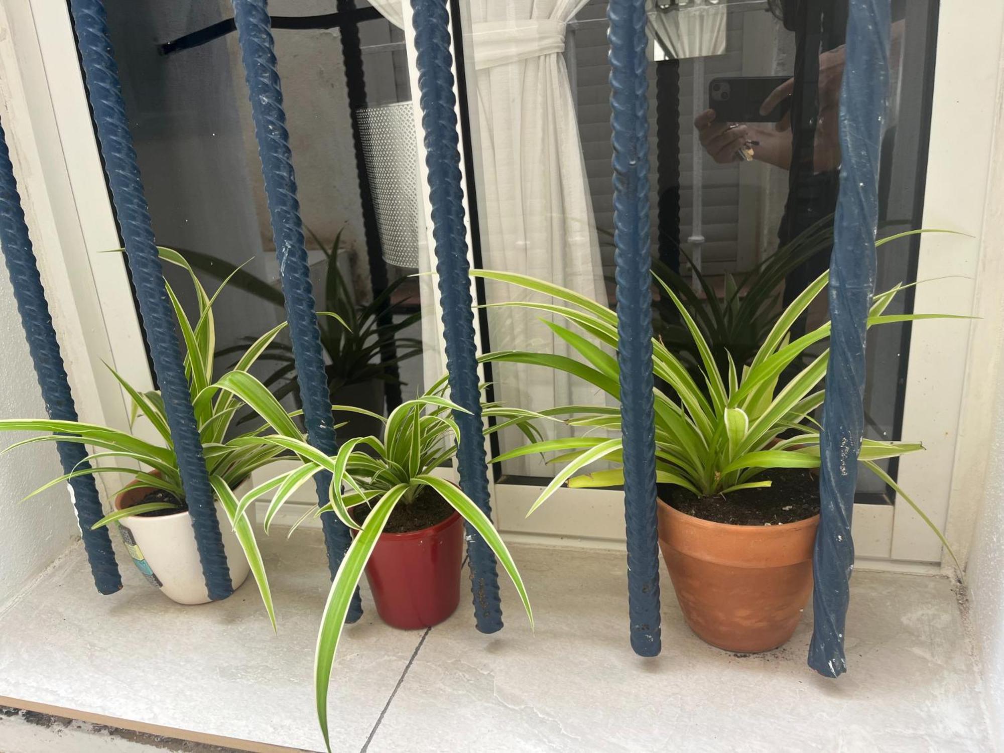 Apartamento Casa Deniz Málaga Habitación foto